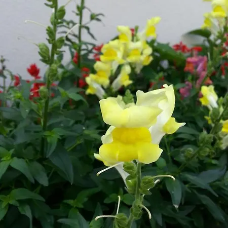 Σπίτι διακοπών Serenity *