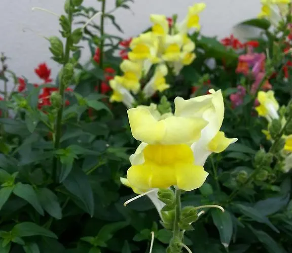 Сasa de vacaciones Serenity *